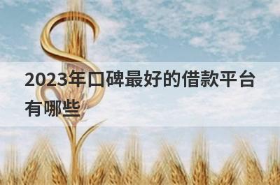 2023年口碑最好的借款平台
有哪些
