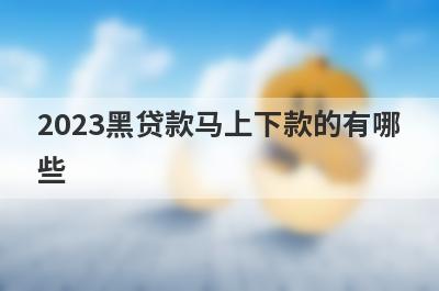 2023黑贷款马上下款的有哪
些
