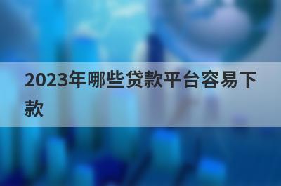 2023年哪些贷款平台容易下
款
