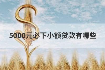 5000元必下小额贷款有哪些