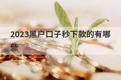 2023黑户口子秒下款的有哪
些
