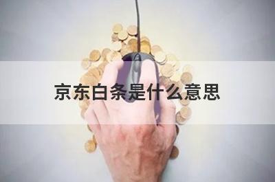 京东白条是什么意思