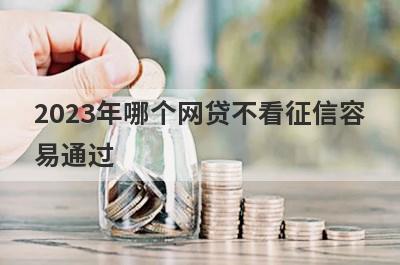 2023年哪个网贷不看征信容
易通过
