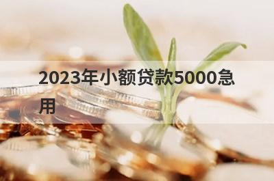 2023年小额贷款5000急
用
