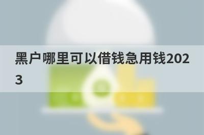 黑户哪里可以借钱急用钱202
3
