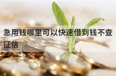 急用钱哪里可以快速借到钱不查
征信
