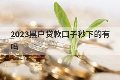 2023黑户贷款口子秒下的有
吗
