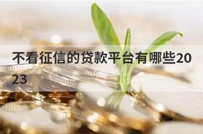 不看征信的贷款平台有哪些20
23
