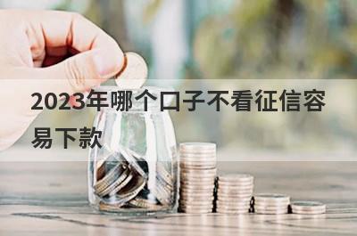 2023年哪个口子不看征信容
易下款
