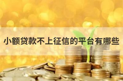小额贷款不上征信的平台有哪些