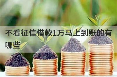 不看征信借款1万马上到账的有
哪些

