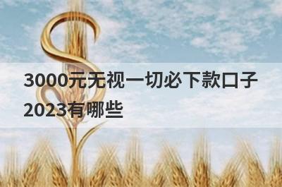 3000元无视一切必下款口子
2023有哪些
