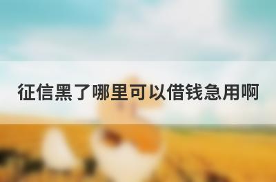 征信黑了哪里可以借钱急用啊