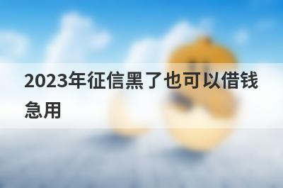 2023年征信黑了也可以借钱
急用
