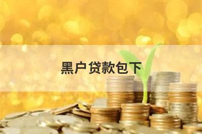 黑户贷款包下 不管黑白户秒过口子