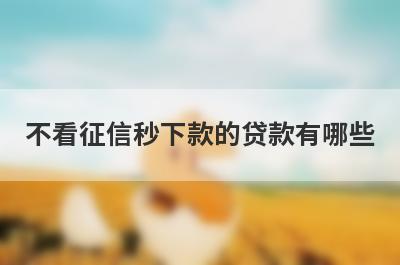 不看征信秒下款的贷款有哪些？2023年不看征信下款的贷款