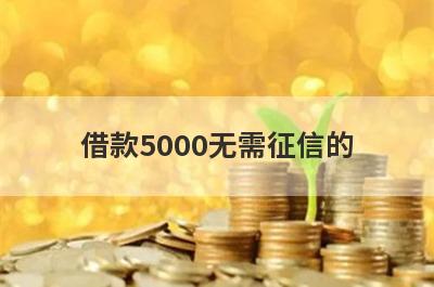 借款5000无需征信的(急用钱秒借5000的口子)