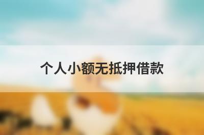 个人小额无抵押借款 能直接借款的网贷平台