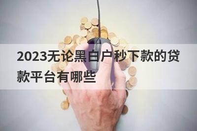 2023无论黑白户秒下款的贷款平台有哪些？黑白户秒过的借款平台