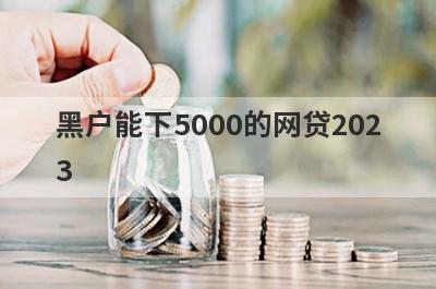黑户能下5000的网贷2023（征信黑可以借5000的口子）