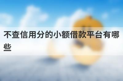 不查信用分的小额借款平台有哪些？独家盘点真实能借到钱的平台