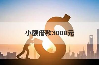 小额借款3000元（500小额贷款秒到账）