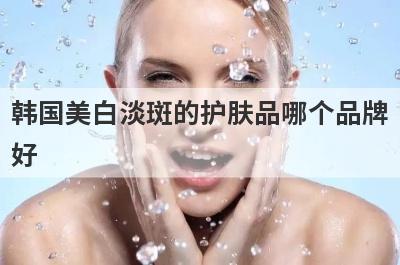 韩国美白淡斑的护肤品哪个品牌
好
