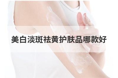 美白淡斑祛黄护肤品哪款好