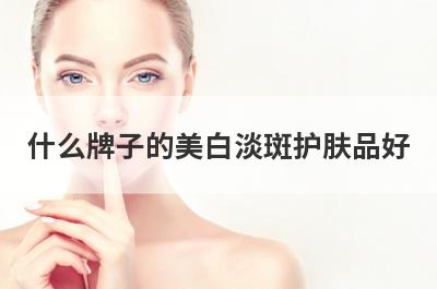 什么牌子的美白淡斑护肤品好