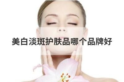 美白淡斑护肤品哪个品牌好