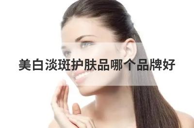 美白淡斑护肤品哪个品牌好