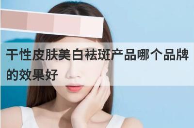 干性皮肤美白祛斑产品哪个品牌
的效果好
