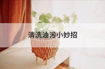 清洗油污小妙招