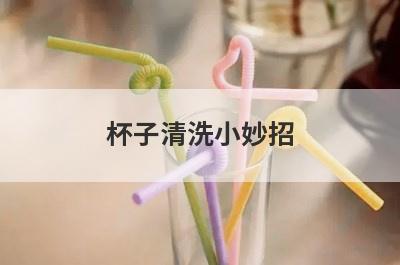 杯子清洗小妙招