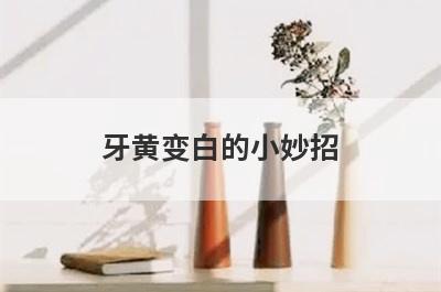 牙黄变白的小妙招