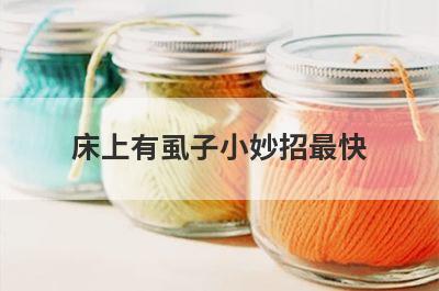 床上有虱子小妙招最快