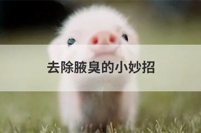 去除腋臭的小妙招