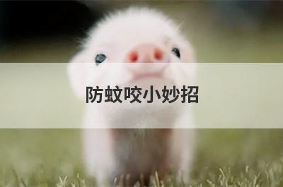 防蚊咬小妙招