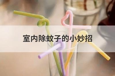 室内除蚊子的小妙招