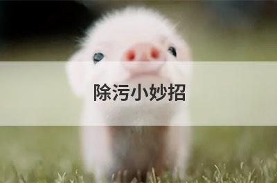 除污小妙招