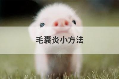 毛囊炎小方法