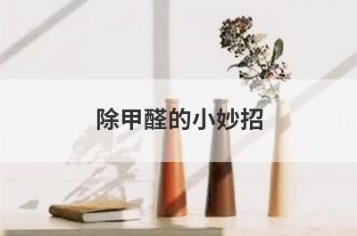 除甲醛的小妙招