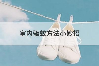 室内驱蚊方法小妙招