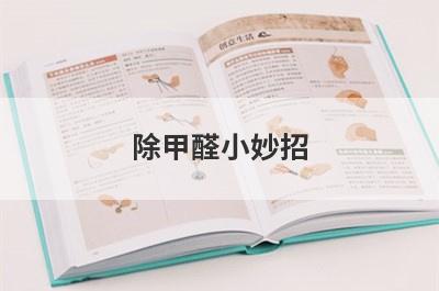 除甲醛小妙招
