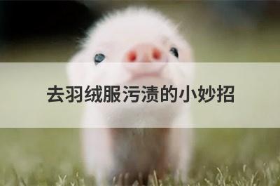 去羽绒服污渍的小妙招