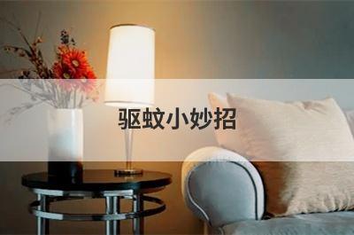 驱蚊小妙招