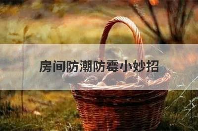 房间防潮防霉小妙招