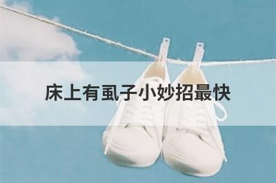 床上有虱子小妙招最快
