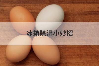 冰箱除湿小妙招