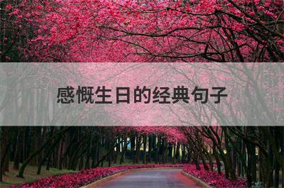 感慨生日的经典句子